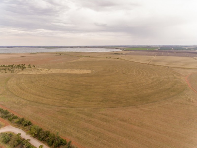 “Boree Downs” and “Waverley” Bringagee Road, Tabbita NSW 2652