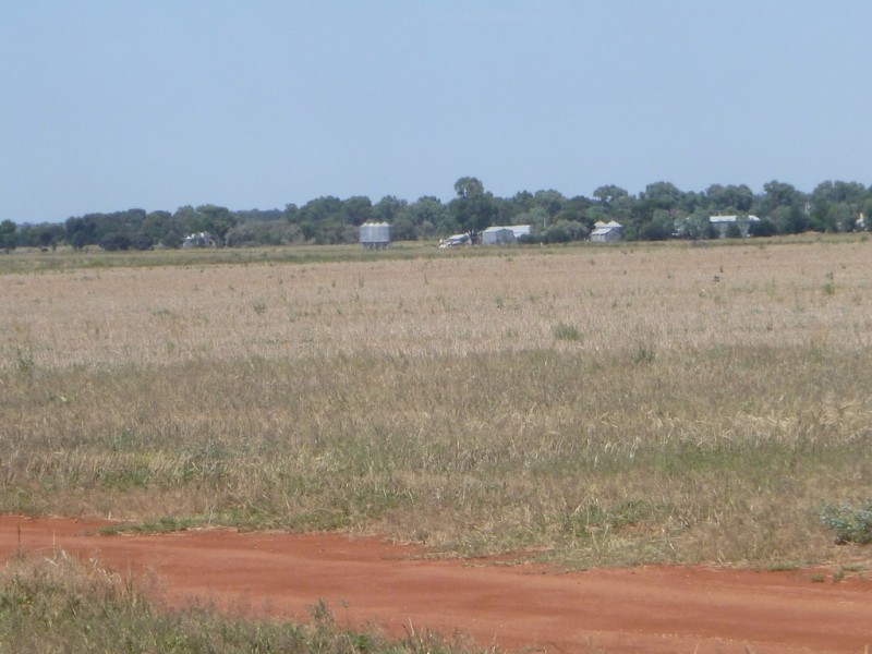“Boree Downs” and “Waverley” Bringagee Road, Tabbita NSW 2652
