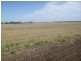 “Boree Downs” and “Waverley” Bringagee Road, Tabbita NSW 2652