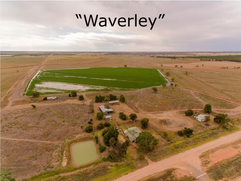 “Boree Downs” and “Waverley” Bringagee Road, Tabbita NSW 2652