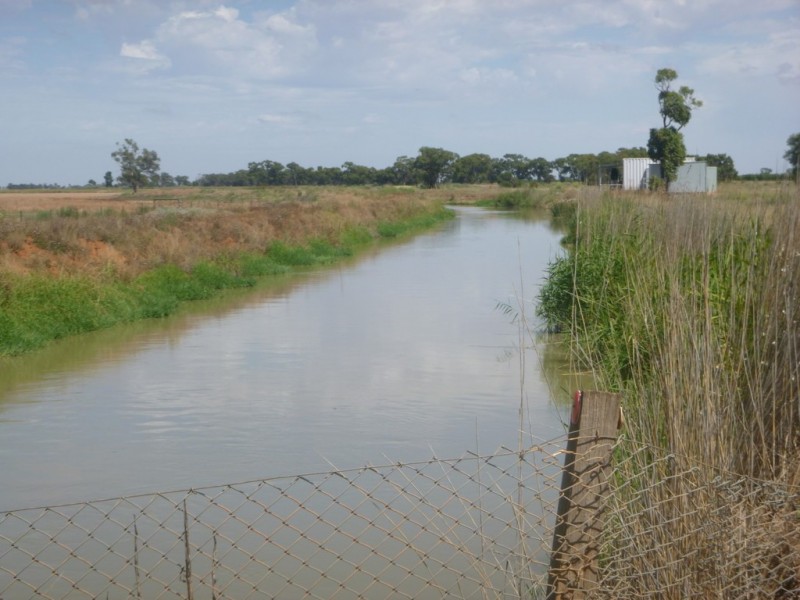 “Boree Downs” and “Waverley” Bringagee Road, Tabbita NSW 2652