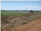 “Boree Downs” and “Waverley” Bringagee Road, Tabbita NSW 2652