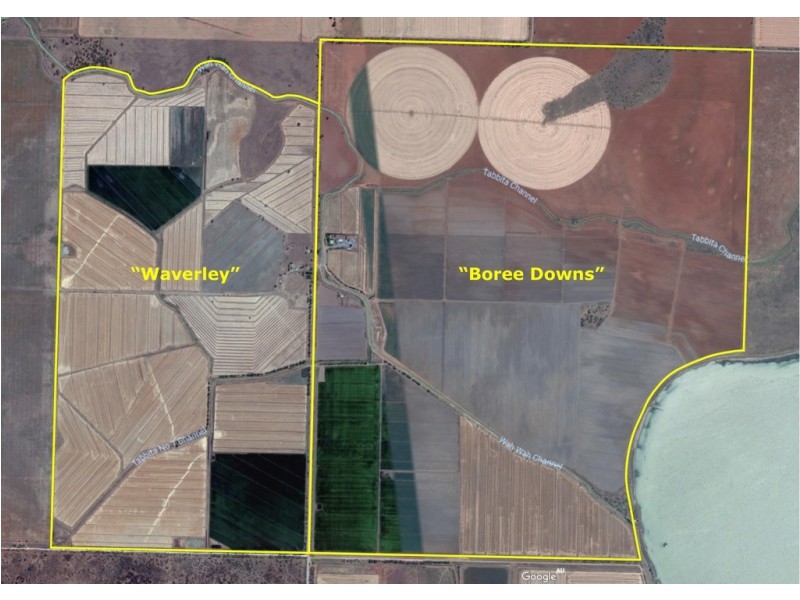 “Boree Downs” and “Waverley” Bringagee Road, Tabbita NSW 2652