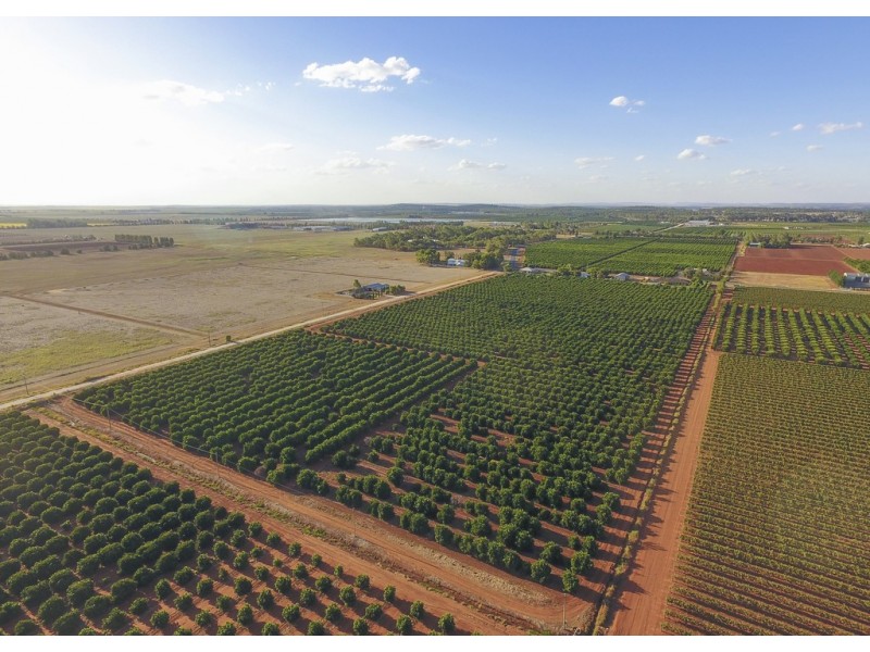 1183 Snaidero Road, Griffith NSW 2680