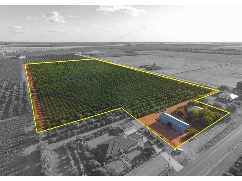 1183 Snaidero Road, Griffith NSW 2680