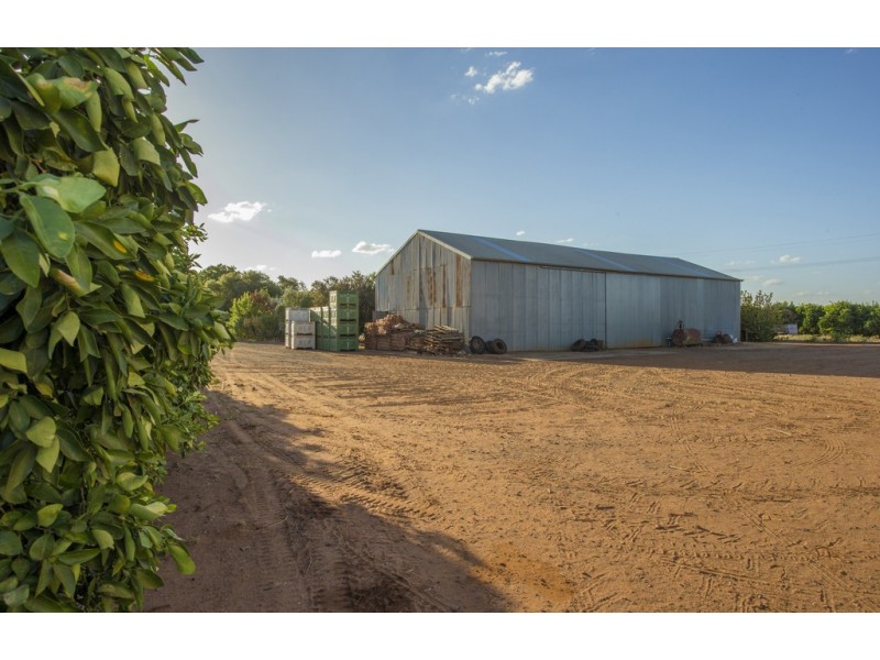 1183 Snaidero Road, Griffith NSW 2680