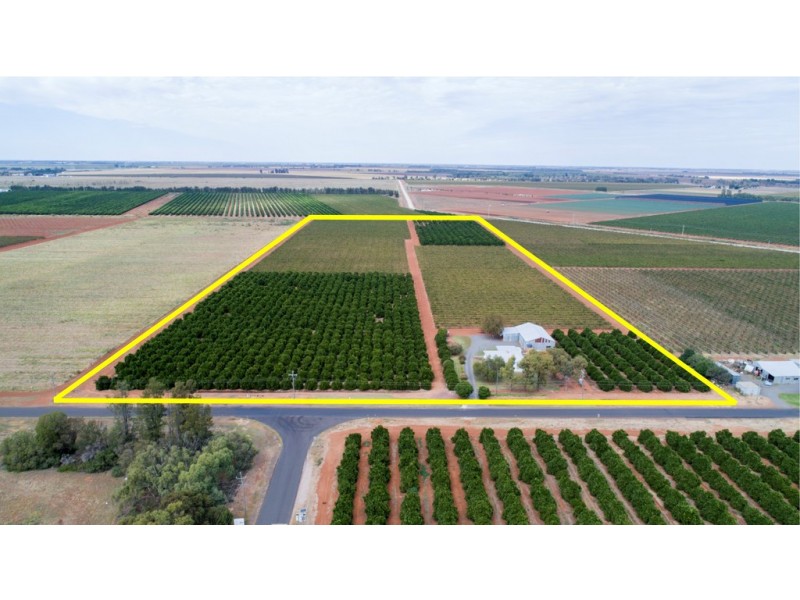 1716 White Road, Tharbogang NSW 2680