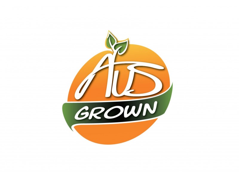 15A Lenehan Road, Griffith NSW 2680