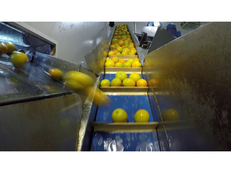 15A Lenehan Road, Griffith NSW 2680