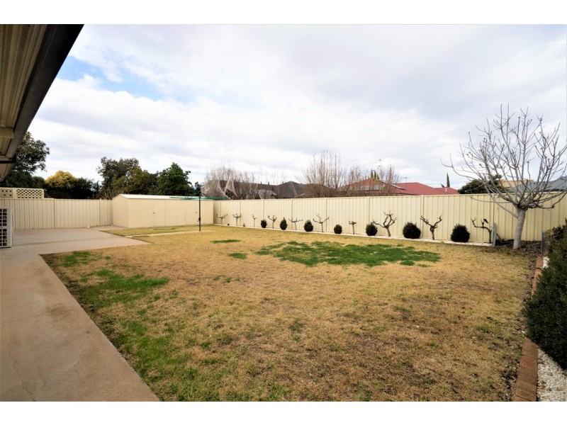 56 Verri Street, Griffith NSW 2680