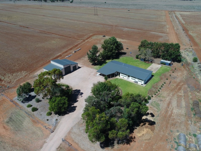 Farm 2149 Houghton Road, Whitton NSW 2705
