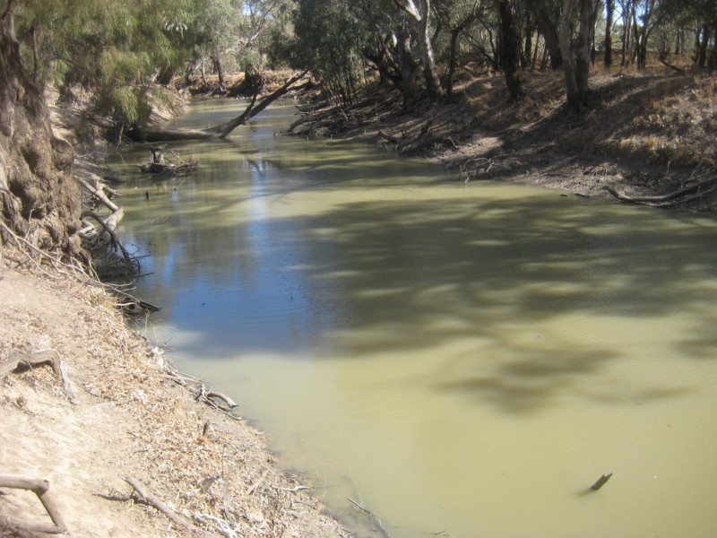 2693 LACHLAN RIVER ROAD, Hillston NSW 2675