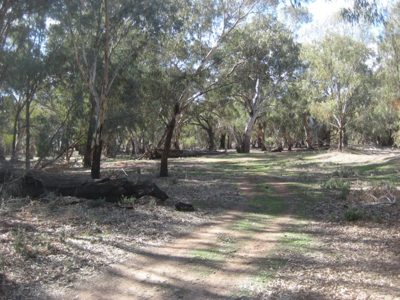 2693 LACHLAN RIVER ROAD, Hillston NSW 2675