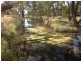 Farm 263 Dance Road, Beelbangera NSW 2680