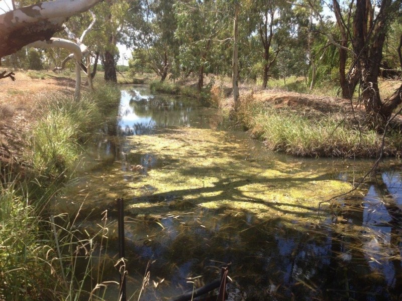Farm 263 Dance Road, Beelbangera NSW 2680