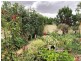 32 Nicholls Street, Griffith NSW 2680