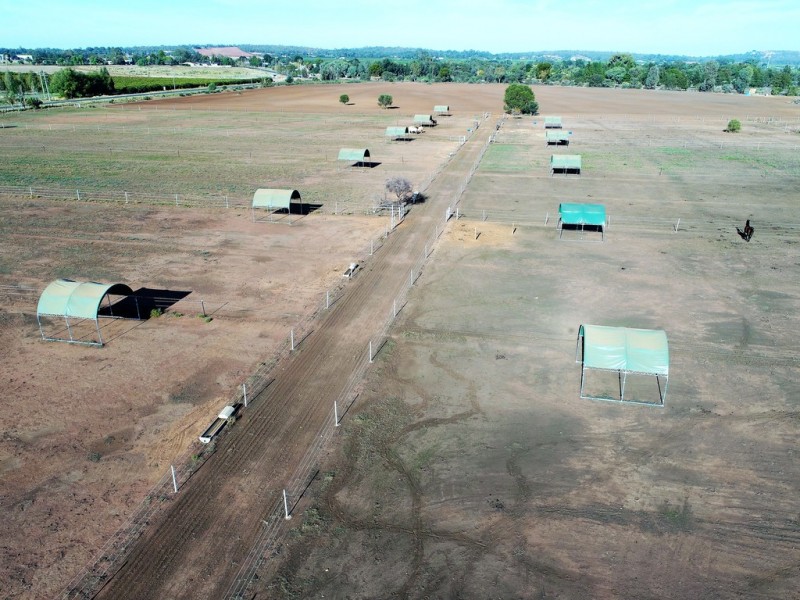 216 Boorga Road, Lake Wyangan NSW 2680