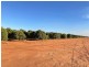 Farm 1685 Rankins Springs Road, Griffith NSW 2680