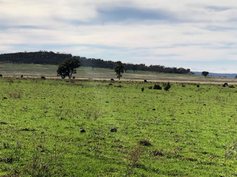 Farm 672 Dickie Road, Tabbita NSW 2652