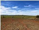Farm 672 Dickie Road, Tabbita NSW 2652