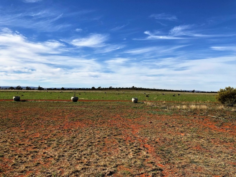 Farm 672 Dickie Road, Tabbita NSW 2652