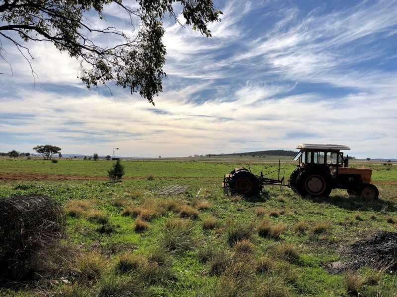 Farm 672 Dickie Road, Tabbita NSW 2652