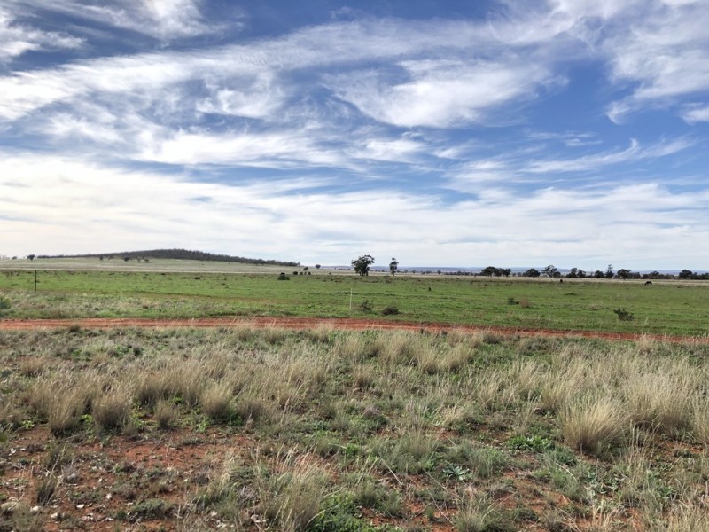 Farm 672 Dickie Road, Tabbita NSW 2652