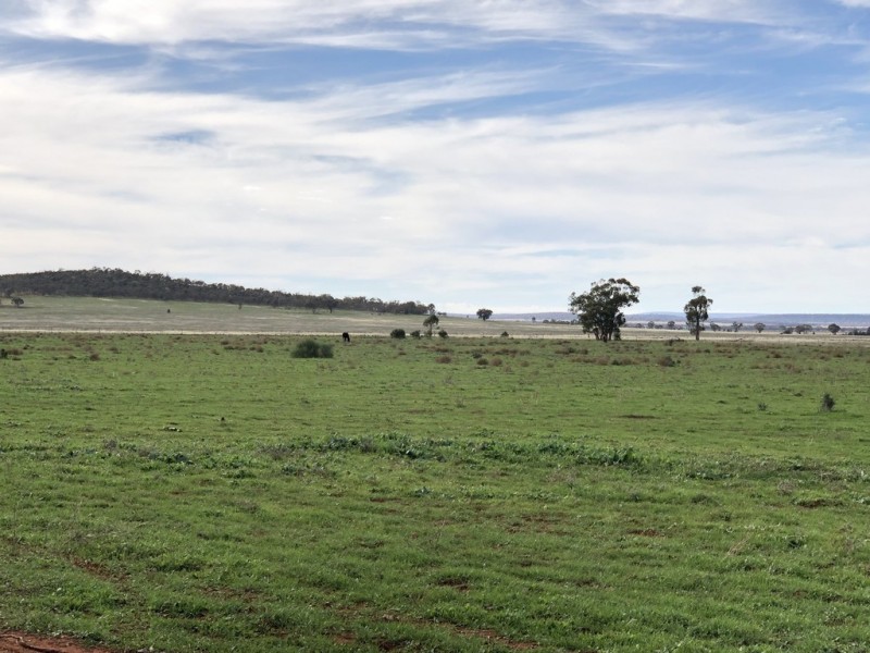 Farm 672 Dickie Road, Tabbita NSW 2652