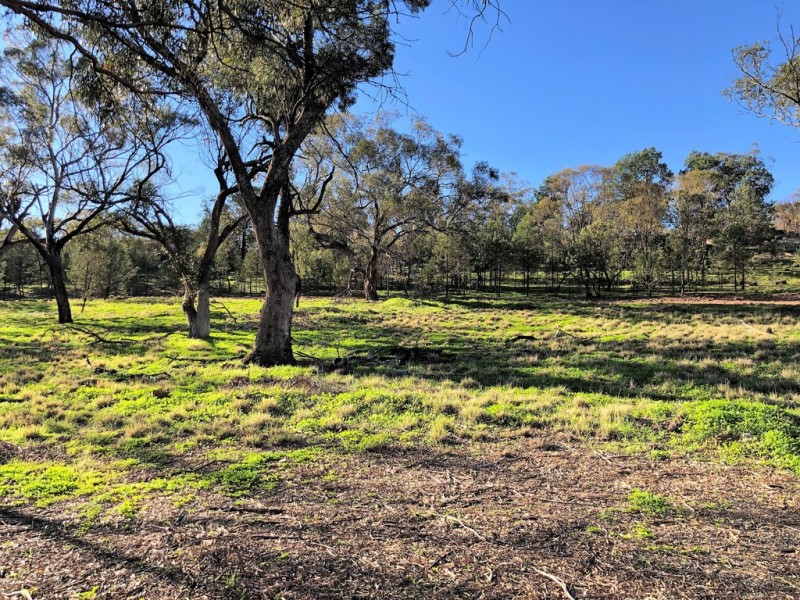 15 ORTELLA STREET, Griffith NSW 2680