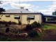 1117 LEETON ROAD, Murrami NSW 2705
