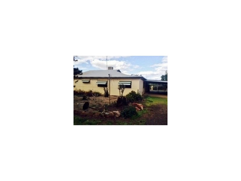 1117 LEETON ROAD, Murrami NSW 2705