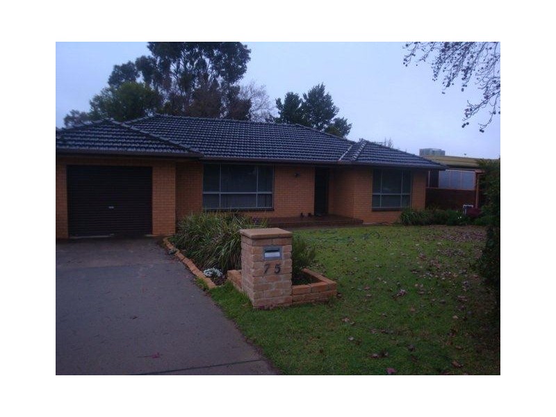 75 BLUMER AVENUE, Griffith NSW 2680