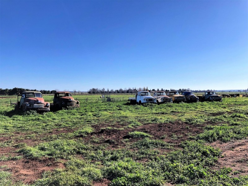94 Masonwells Road, Nericon NSW 2680