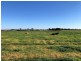 94 Masonwells Road, Nericon NSW 2680
