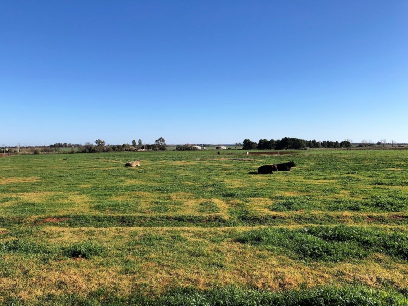 94 Masonwells Road, Nericon NSW 2680