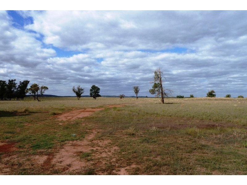 . Boorga and New Farms Roads, Nericon NSW 2680