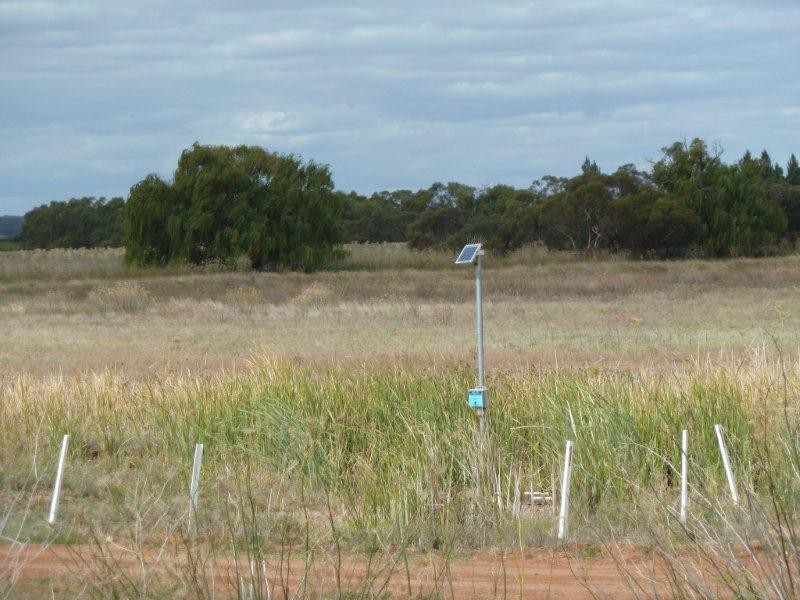 . Boorga and New Farms Roads, Nericon NSW 2680