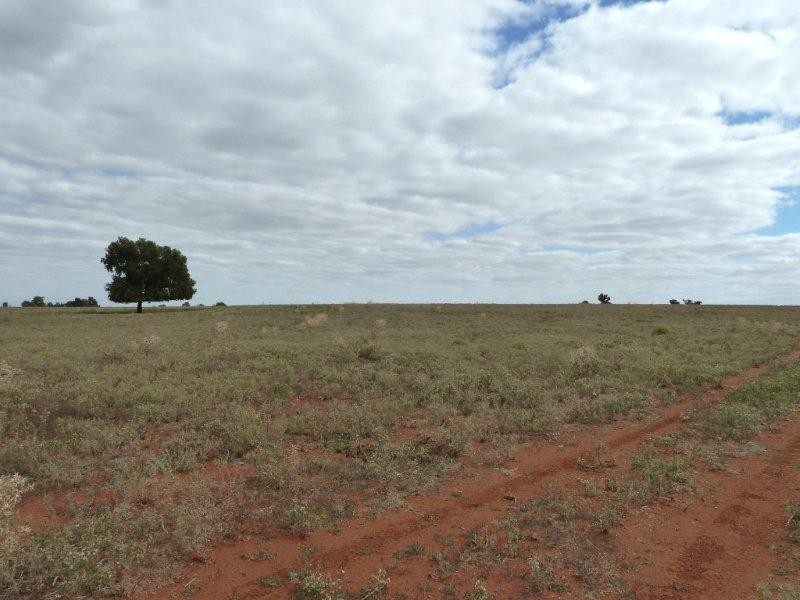 . Boorga and New Farms Roads, Nericon NSW 2680