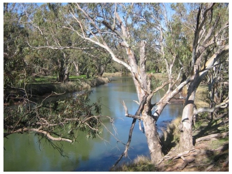 . “South Lancoona”, Hillston NSW 2675