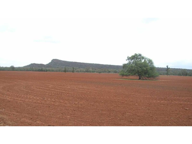 . “South Lancoona”, Hillston NSW 2675