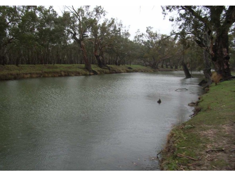 . “South Lancoona”, Hillston NSW 2675