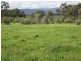 Lot 2 Rankins Springs Road, Beelbangera NSW 2680