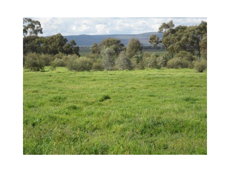 Lot 2 Rankins Springs Road, Beelbangera NSW 2680