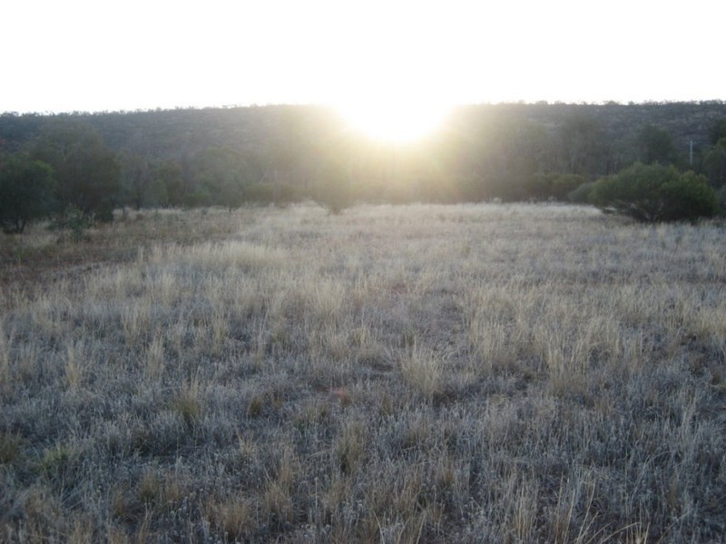 Lot 2 Rankins Springs Road, Beelbangera NSW 2680