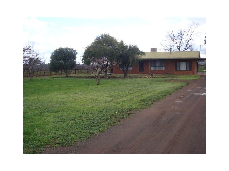 Farm 526 McDonald Road, Bilbul NSW 2680
