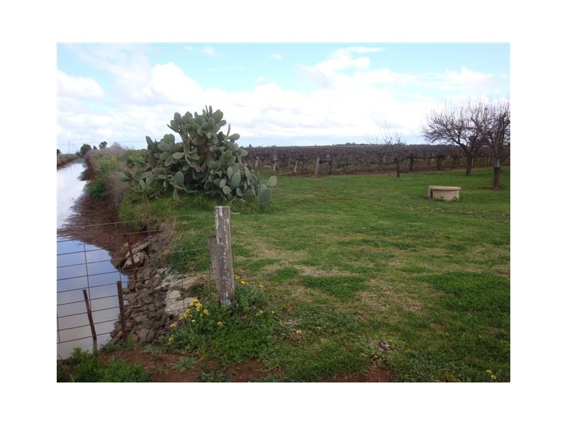 Farm 526 McDonald Road, Bilbul NSW 2680