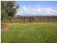 Farm 526 McDonald Road, Bilbul NSW 2680