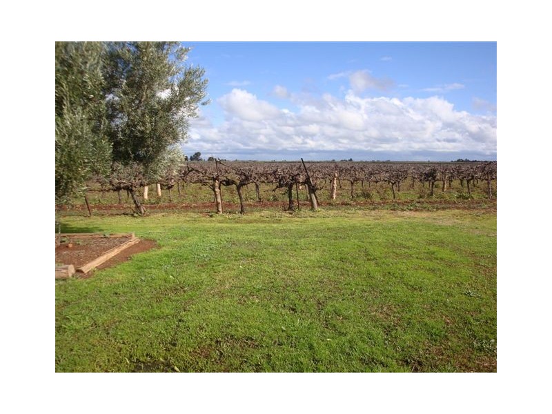 Farm 526 McDonald Road, Bilbul NSW 2680