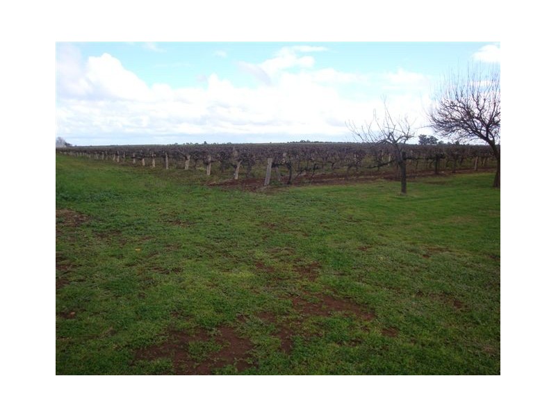 Farm 526 McDonald Road, Bilbul NSW 2680