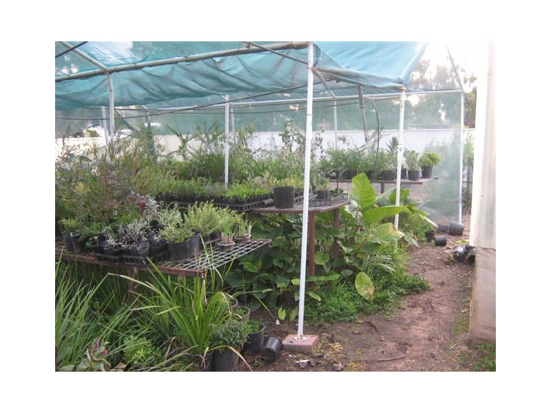 3 Rose Street, Hillston NSW 2675